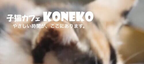 学科 HTML/CSS基礎⑧