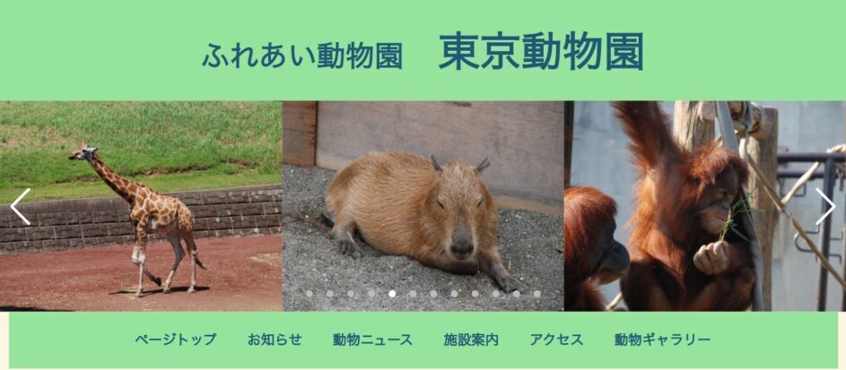 学科 HTML/CSS基礎④